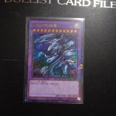 【鑑定書付】 ARS10+ 遊戯王 ブルーアイズアルティメットドラゴン ホロ 鑑定書付】 ARS10+ 遊戯王 ブルーアイズアルティメットドラゴン
