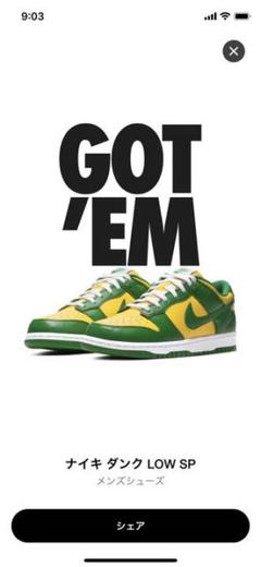 Nike dunk low sp brazil