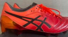 アシックス DS LIGHT X-FLY 4 TOKYO 1500足限定 完売品