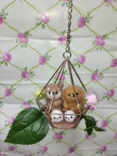 羊毛フェルトトイプードルとシマエナガと柴犬ゆりかごの中で^m^