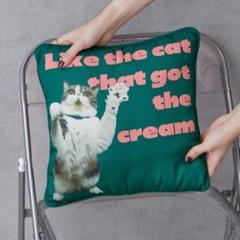 新品⭐Pechanko Catsクッション