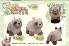 たぬきのぽんぽん BIG ぬいぐるみ 約33cm m24611488439_1.jpg?1738586489