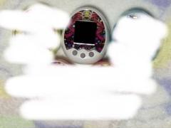 2025年最新】20th Anniversary Tamagotchi m m ver. x x