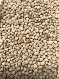 薬味にも使える エゴマの種 100粒