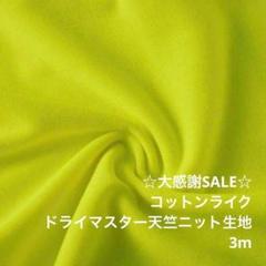 F2X/41-059-04◆3m 感謝祭/ポリドライマスター天竺ニット生地