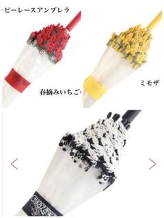 近沢レース パッピーレースアンブレラ 春摘みいちご ミモザ
