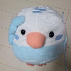 2025年最新】ことり隊 インコの人気アイテム - メルカリ