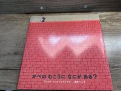 ほぼ新品！絵本「かべのむこうにはなにがある？」