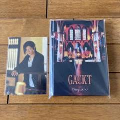 レア 新品未開封 GACKT 2014カレンダー レア 新品未開封 GACKT 2014カレンダー
