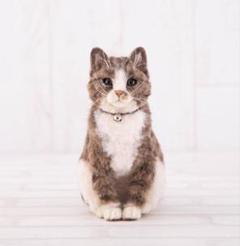 2025年最新】羊毛フェルト キジトラの人気アイテム - メルカリ