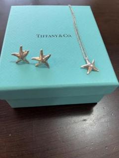 2022年最新】ティファニー スターフィッシュの検索結果 - メルカリ 株価 希少特大TIFFANY&Co.ティファニースターフィッシュネックレス ネックレス