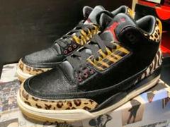 ★新品未使用★NIKE AIR JORDAN 3 RETRO SE ANIMAL