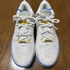 Wade Shadow 6 (輪廻) バスケットボールシューズ - メルカリ