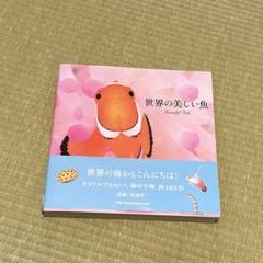 世界の美しい魚　動物写真集