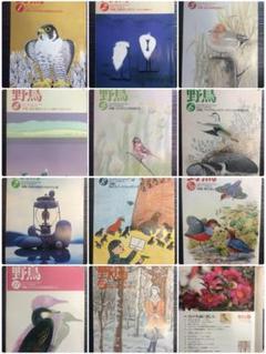 野鳥 2001年1〜12月号 全11冊 B5版 日本野鳥の会(24)