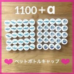ペットボトルキャップ　約1100個＋α 消毒済み 増量中
