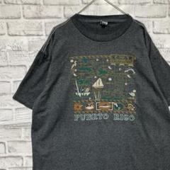 USA製90sヴィンテージTシャツ！シングルステッチ　グレー半袖古着　XL710