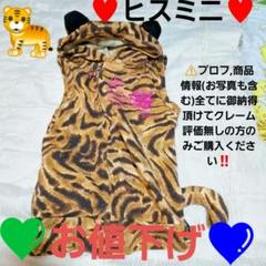 ⚠️クレーム無しの方のみご購入を♥️ヒスミニしっぽ,耳付きヴィンテージベスト