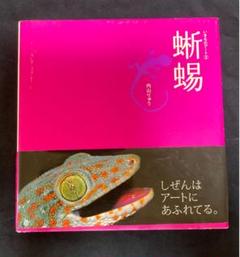 蜥蜴