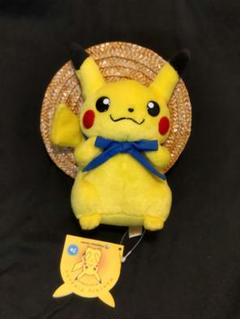 ポケモンセンター限定 マンスリーピカチュウ セット 2003 ぬいぐるみ ポケモン マンスリーピカチュウ ぬいぐるみ ポケセン限定 2003年