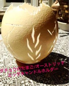 ダチョウのたまご/オーストリッチエッグ キャンドルホルダー 中古