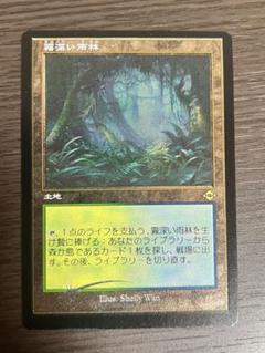 MH2 霧深い雨林　旧枠FOIL 日本語　モタホライゾン2 フェッチランド 438)□旧枠□《霧深い雨林/Misty Rainforest》[MH2-BF] 土地R