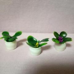 【新品】ミニチュア観葉植物 3個セット