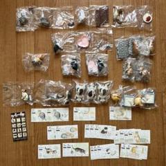 50%OFF ナーゴコレクション 第4弾 登録証カードあり フィギュア未開封 その他
