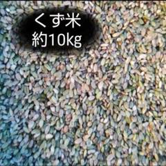 令和6年度産 くず米(玄米) 20kg⑧ 令和6年 クズ米 くず米 玄米 飼料用 20kg