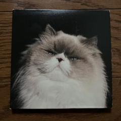 カネコアヤノ/CD６枚まとめ売り/中古 カネコアヤノ/CD6枚まとめ売り/中古 2025年最新】Yahoo