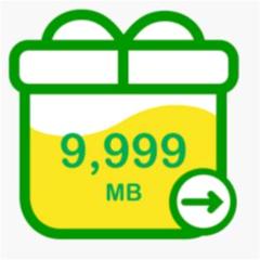 mineo マイネオパケットギフト 約10GB (9999MB)