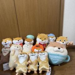 ※要コメント　可愛い嘘のカワウソ　ぬいぐるみ　まとめ売り　プライズ中心