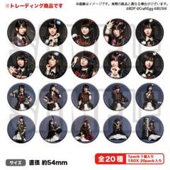 Roselia アドベントカレンダー　缶バッジ　バンドリ バンドリ ゲーマーズ 秋葉原 缶バッジ Roselia 5種セット｜Yahoo