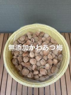 無添加かわあつ梅10kg白干し - メルカリ