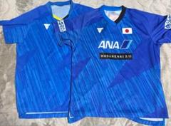 卓球 ビクタス ユニフォーム セット 上XL 下L