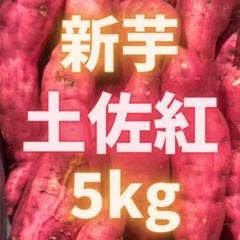 新芋　サツマイモ　おすすめ　芋　29 まるで神様からの贈り物」紅芋の新品種、甘～い奇跡 本部町の畑