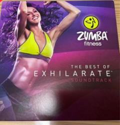 ✨ZUMBA ✨ズンバ ✨CD DVD セット✨zin14✨ s-l400.jpg