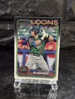 2024 topps MLB ダルトンラッシングのサムネイル