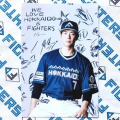 北海道日本ハムファイターズ WLHシリーズ2025 限定ポストカード【松本剛】