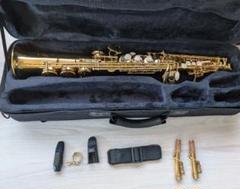 Amazon | SELVA/初心者向けアルトサックス入門セット Alto Sax