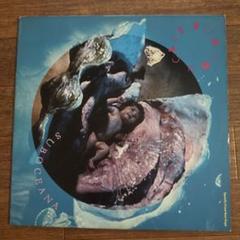 DJ RYOW　レコード　LP2枚セット　未使用品 2025年最新】Yahoo!オークション - その他(レコード 音楽)の中古