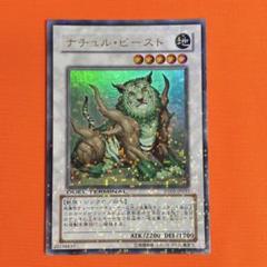 2025年最新】ナチュル・ビースト DTの人気アイテム - メルカリ