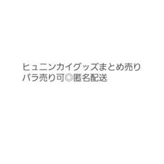 ヒュニンカイ 約150点