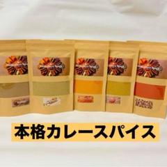 ⭐️本格カレースパイス　香辛料　5種セットのサムネイル