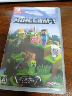 Switch MINECRAFT マイクラフト