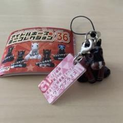 2025年最新】アイドルホースミニコレクション36の人気アイテム