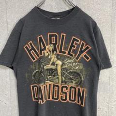 ハーレーダビッドソン　両面プリント　ルート66 古着Tシャツ S程度
