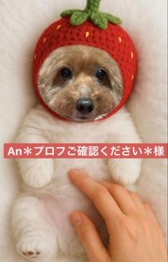 れんまな ※プロフ確認お願いします※ 先程、フォロワーさんからDMが来ましたが、どうやらこの方の