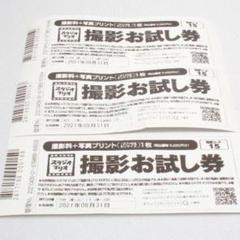 ❤️カメラのキタムラ❤️スタジオマリオ❤️撮影お試し券 3枚セット❤️