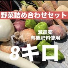 メルカリ便　有機野菜セット８品＋おまけ＋白米約５Kg 有機野菜セット8品＋おまけ 80サイズ - メルカリ